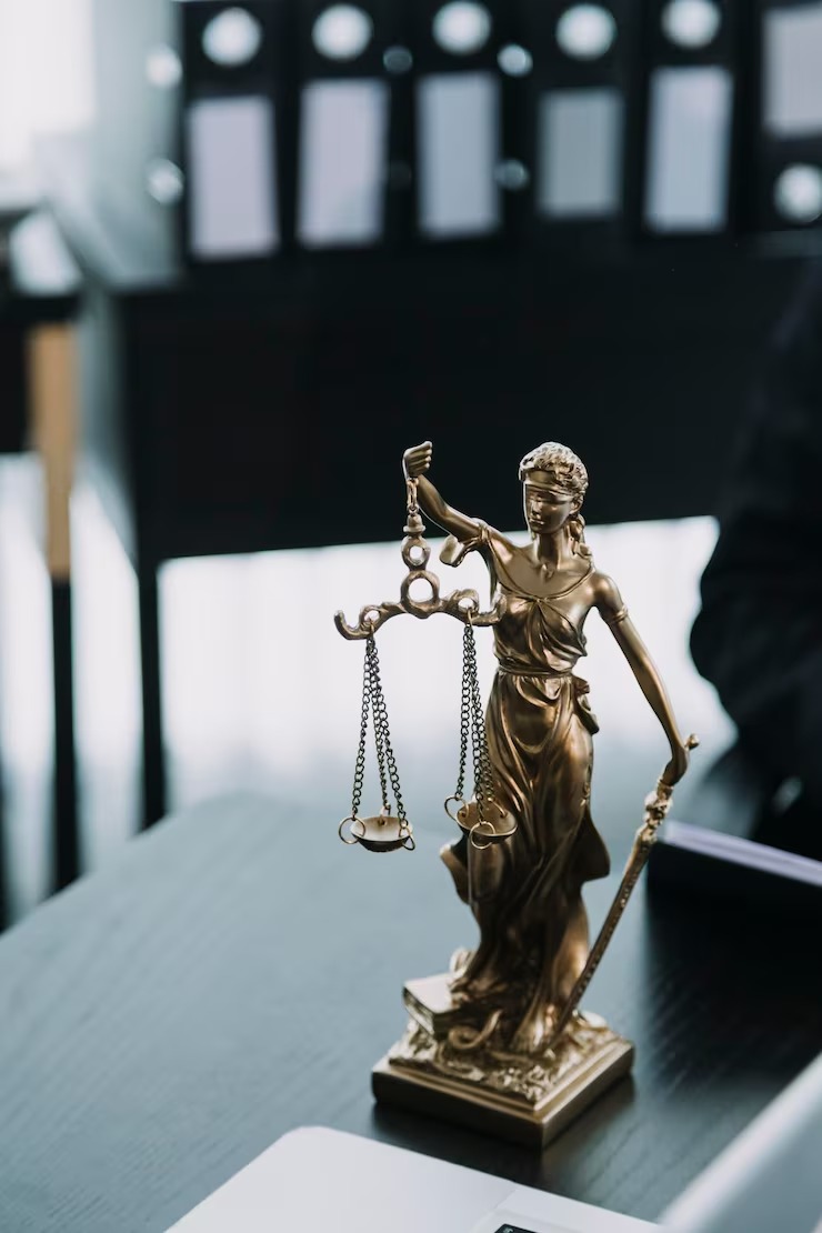 imgi_23_lawsuit-justice-concept-lawyer-working-with-partner-law_265022-11330